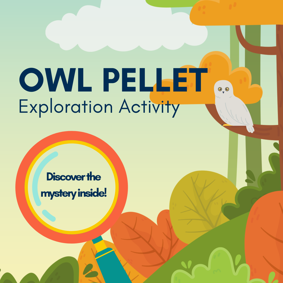 Owl Pellet Dissection Kits - logo